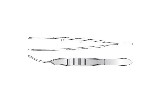Arruga Intracapsular Forceps Ophthalmic Surgical Instrument Stainless Steel