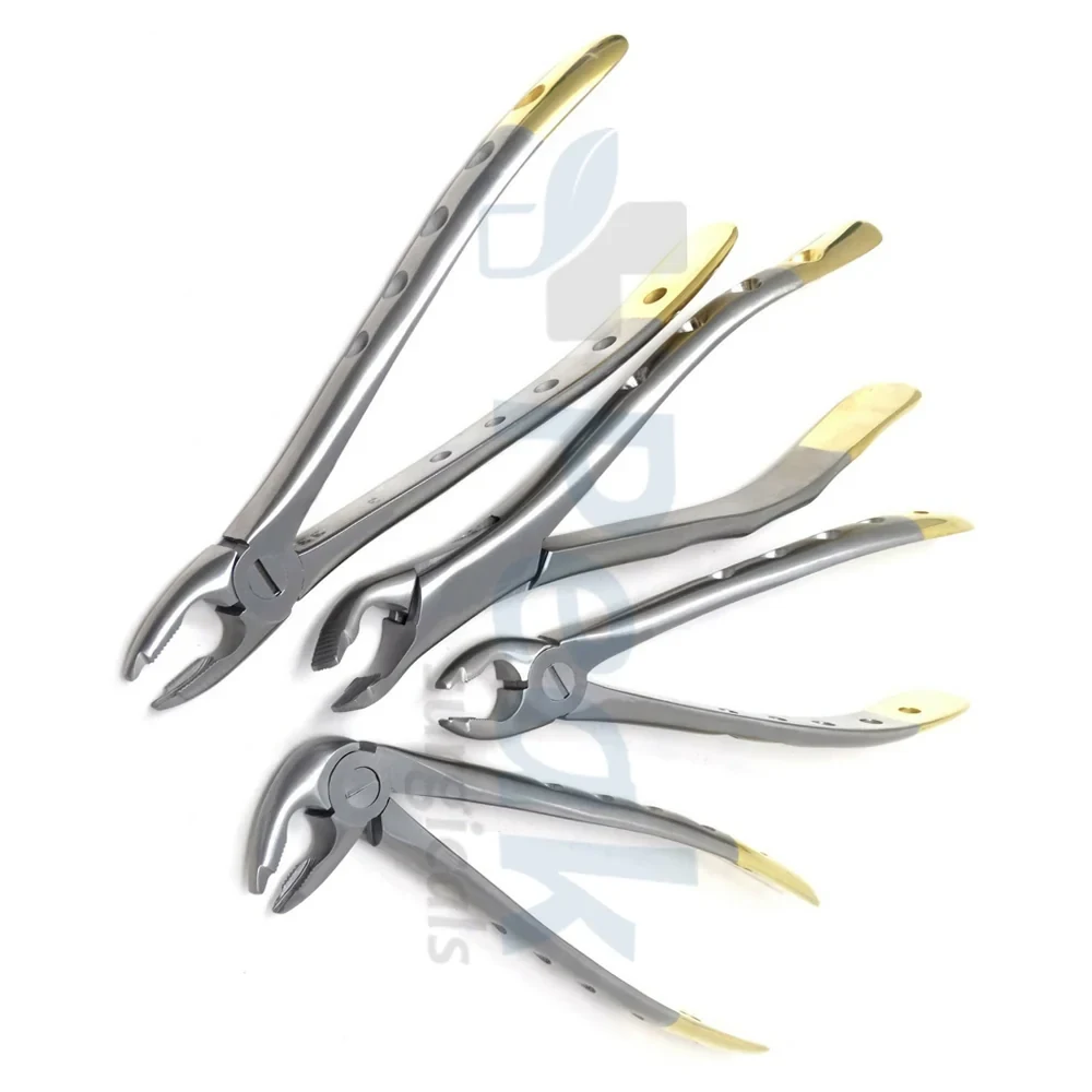 Dental Extracting Forceps 4Pcs Instrument for Exodontia Tray Setup
