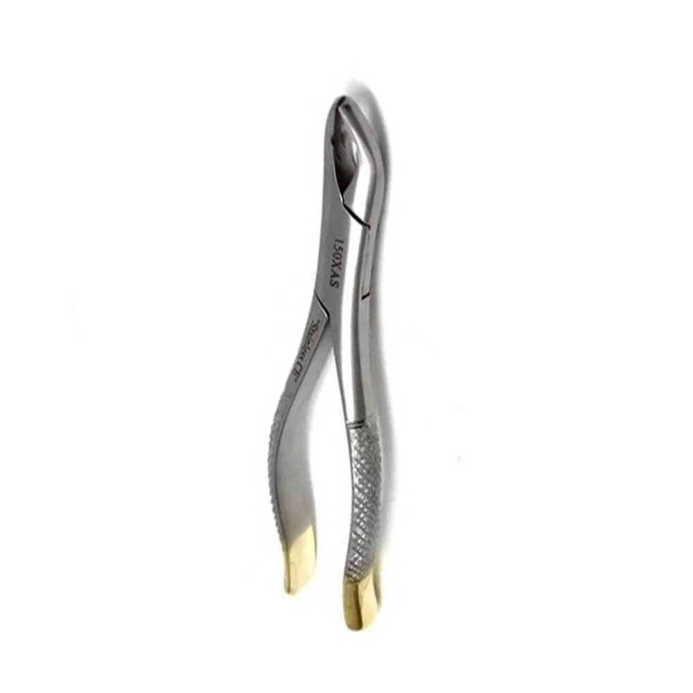 Gold Handle Clinic Extracting Forceps for 125mm Dental Exodontia