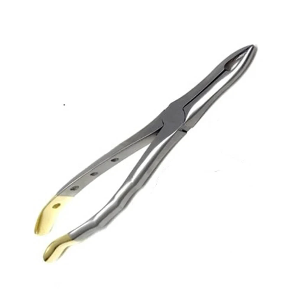 Gold Handle Extracting Forceps for 125mm Serrated Dental Extraction