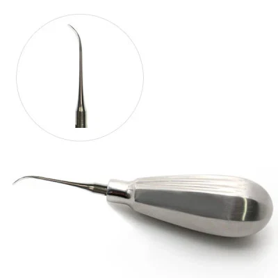 Inside Curved Root Elevators Dental Extraction Instrument