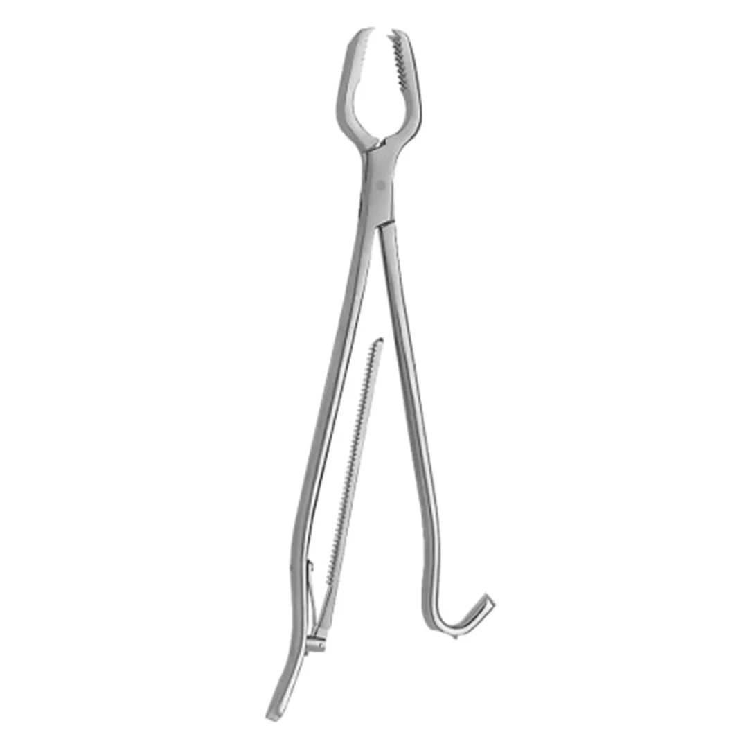 Lane Bone Holding Forceps