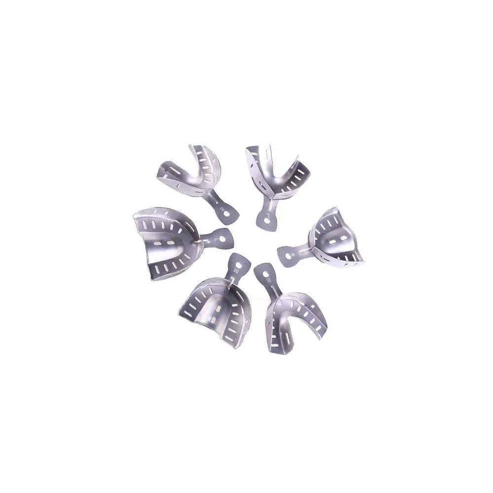 Mouth Impression Tray