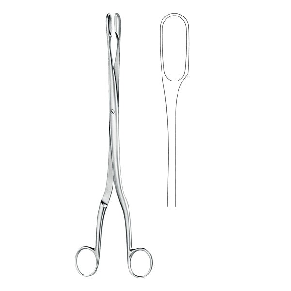 Ovum Forceps 28cm