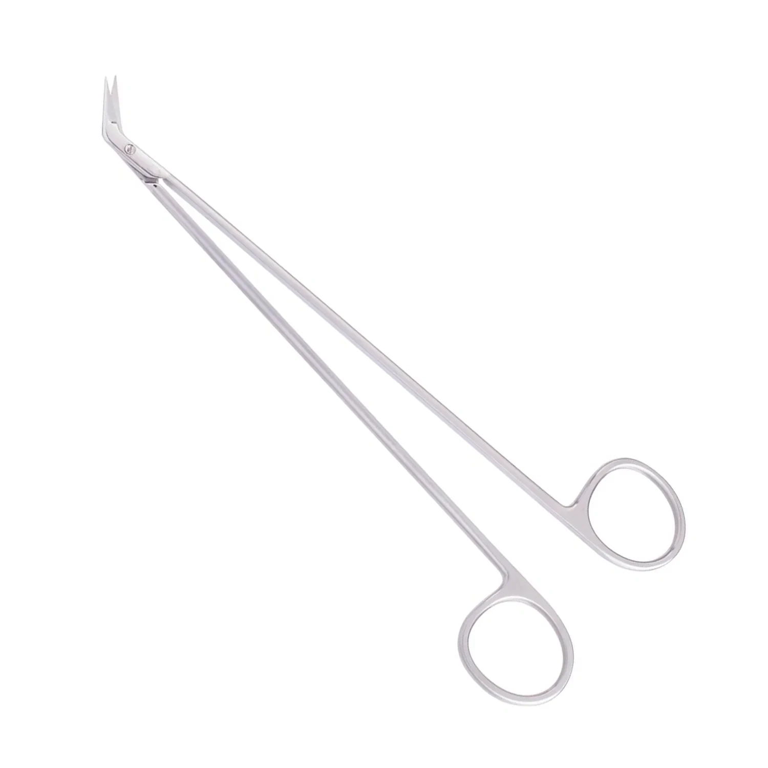 Potts Smith Scissors