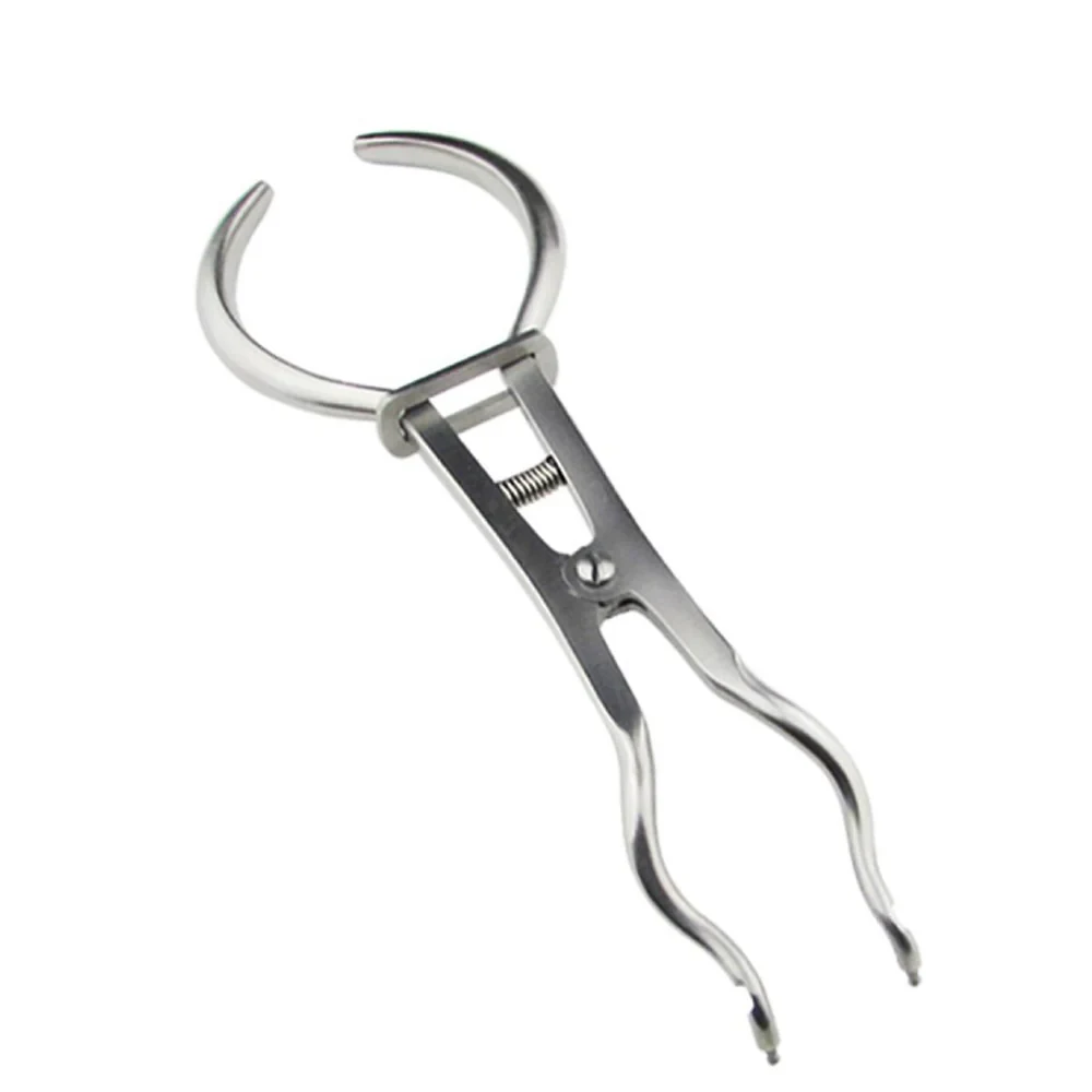 Rubber Dam Brewer Forceps 17cm for Dental Clamp Placement