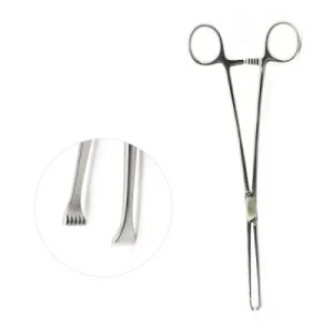 Allis Tissue Forceps 5x6 Teeth for Secure Tissue Grasping image 2