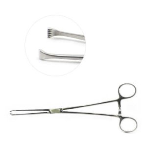 Allis Tissue Forceps Toothed Surgical Grasping Instrument image 4