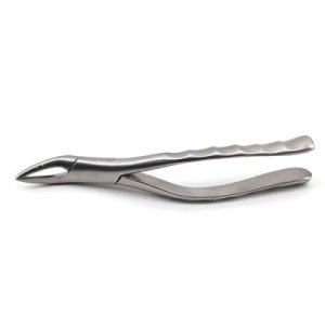 American Extraction Forceps for Veterinary Dental Use