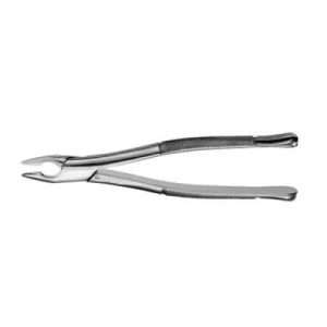 American Extraction Forceps for Veterinary Dental Use image 3