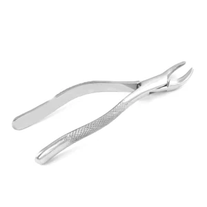 American Extraction Forceps Upper Molar for Canine and Feline Molar Removal