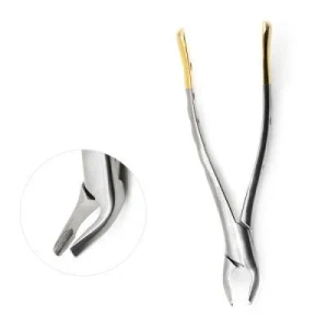 American Pattern Forceps Apical image 2