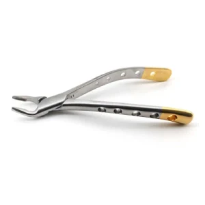 American Pattern Forceps Apical image 3