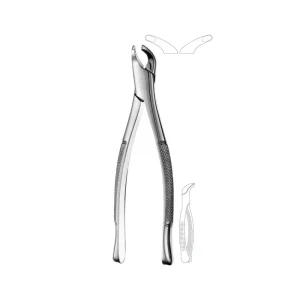 American Pattern Tooth Forceps Premolars for Upper and Lower Extraction