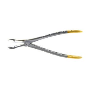 Atraumatic Extraction Forceps for Controlled Dental Procedures image 3
