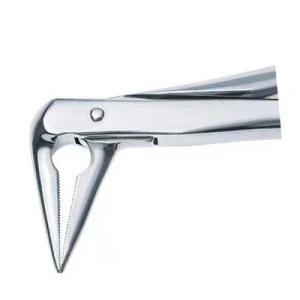 Atraumatic Extraction Forceps for Controlled Dental Procedures image 2