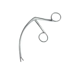 Carroll Tendon Retriever image 2