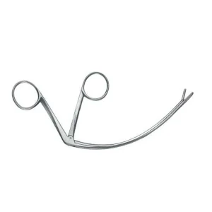 Carroll Tendon Retriever image 3