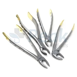 Dental Extracting Forceps 4Pcs Instrument for Exodontia Tray Setup image 3