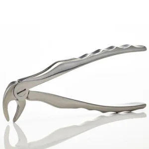 Dental Extraction Forceps image 2