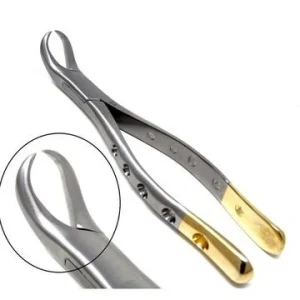 Extracting Forceps Gold Handle 125mm for Anterior Exodontia image 3