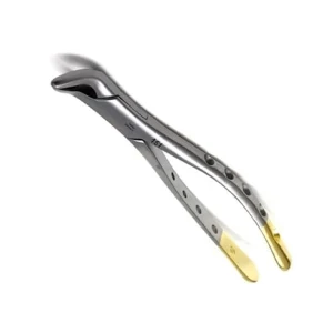 Gold Extracting Forceps Instrument for 2.8mm Serrated Dental Extraction image 2