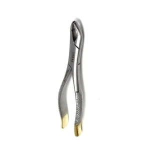 Gold Handle Clinic Extracting Forceps for 125mm Dental Exodontia