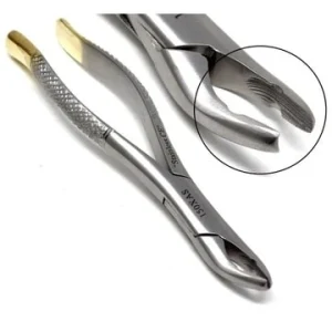 Gold Handle Clinic Extracting Forceps for 125mm Dental Exodontia image 3