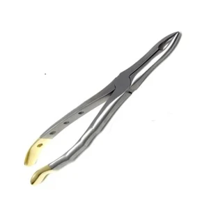 Gold Handle Extracting Forceps for 125mm Serrated Dental Extraction