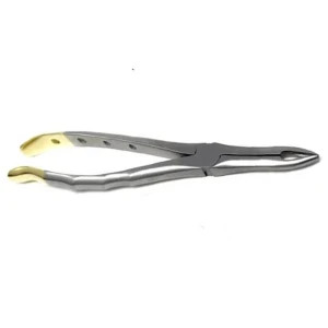 Gold Handle Extracting Forceps for 125mm Serrated Dental Extraction image 2