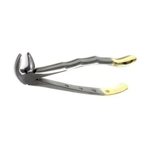 Gold Handle Extracting Forceps for 2.8mm Serrated Dental Extraction image 2
