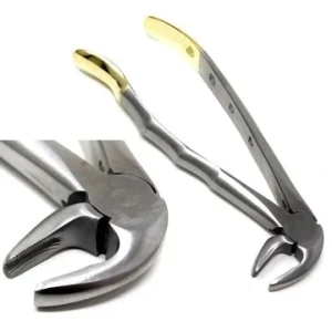 Gold Handle Extracting Forceps for 2.8mm Serrated Dental Extraction image 3