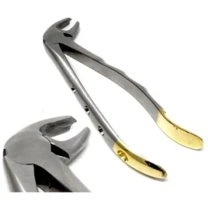 Gold Handle Molar Forceps for 125mm Posterior Dental Extraction image 3