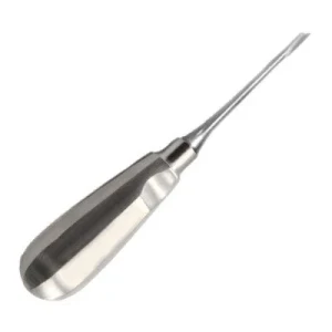 Holmstrom Modified Elevator 5H Standard Handle Dental Instrument