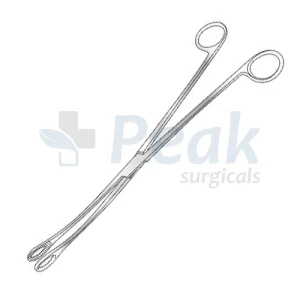 Keily Ovum Forceps image 3