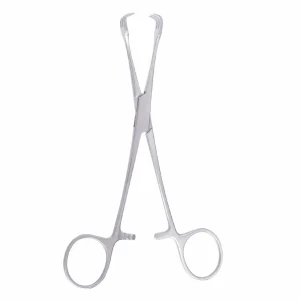 Lahey Goiter Vulsellum Forceps for 16-20cm Thyroid and Goiter Traction image 2