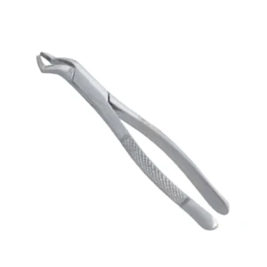 Orthodontic Extracting Forceps with 6.2in Dental Extraction Pattern