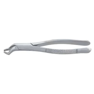 Orthodontic Extracting Forceps with 6.2in Dental Extraction Pattern image 3
