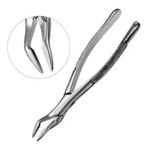 Parmly Forceps No 32A Veterinary Dental Extraction Instrument image 2
