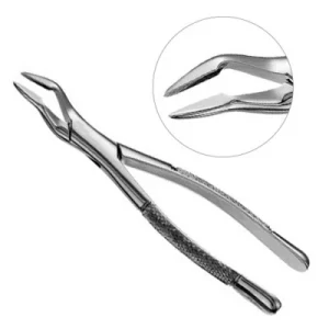 Parmly Forceps No 32A Veterinary Dental Extraction Instrument image 3