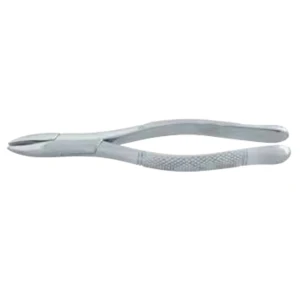 Premolar Forceps with 125mm Dental Extraction Pattern image 3