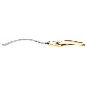Ramirez Type Endoscopic Forehead 26cm image 2