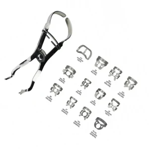 Rubber Dam Kit 13pcs for Endodontic Isolation with 12 Clamps image 2