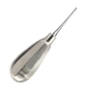Small Straight Chisel Edged Elevator Dental Surgical Instrument