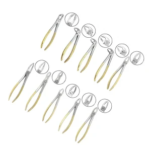Tooth Extracting Forceps Set for 10-Piece Dental Exodontia image 2