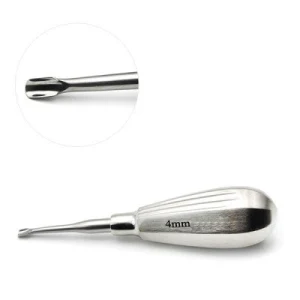 Winged Elevator Short Handle Curved Dental Extraction Instrument image 2