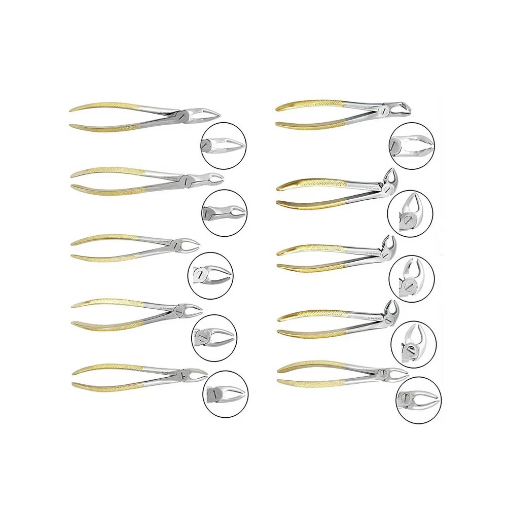 Tooth Extracting Forceps Set for 10-Piece Dental Exodontia