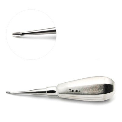 Winged Elevator Short Handle Curved Dental Extraction Instrument